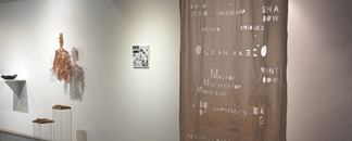 Curatorial Walkthrough: Sanctuaries