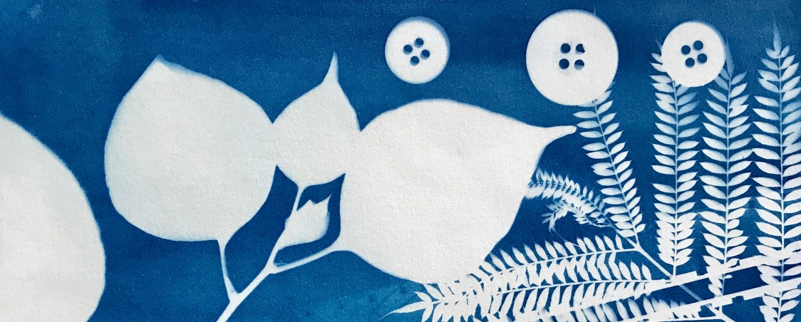 The Art of Cyanotypes! Making Sun Prints & Art from Nature