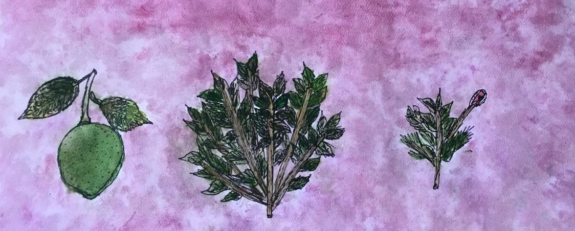 Botanical Illustration: Painting with Inks, Watercolors & Natural Pigments