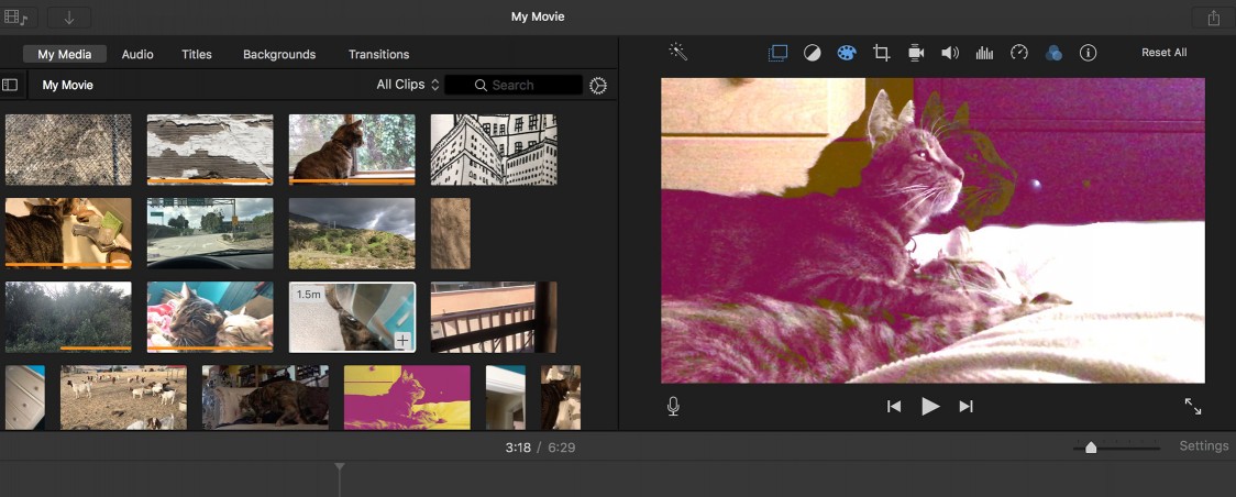 Video Art: Personal Stories