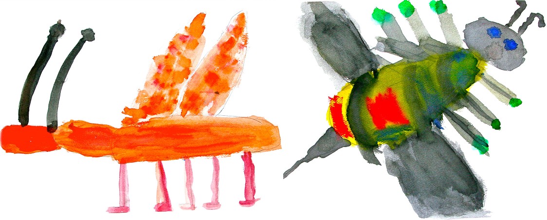 Metamorphosis: The Art of Insects & Nature