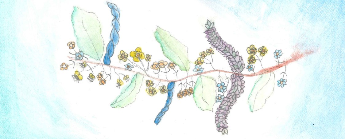 Intro to Drawing with Watercolor & Calligraphy