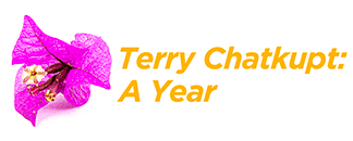 Opening Celebration for "Terry Chatkupt: A Year"
