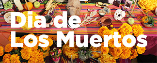 Dia de los Muertos