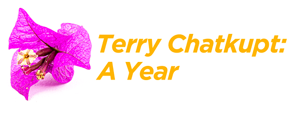 Opening Celebration for "Terry Chatkupt: A Year"