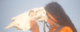 K-12 Exhibition Field Trips