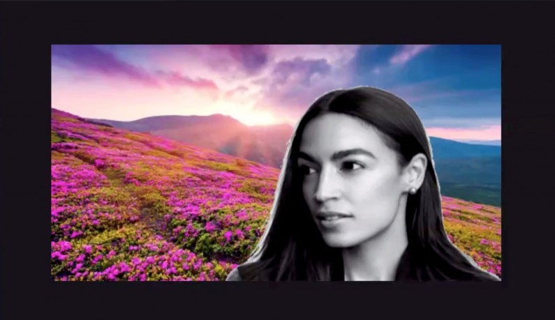 aoc weblede